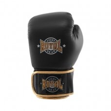 Boxing Gloves Royal Tws - Leather