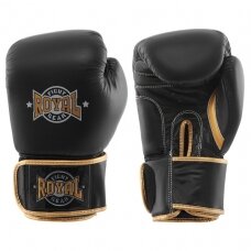 Boxing Gloves Royal Tws - Leather