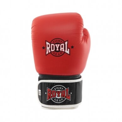 Boxing gloves Royal Tws, leather 1