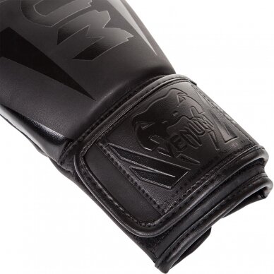 Boxing gloves Venum elite 2