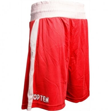 Boxing shorts "TOP Ten"