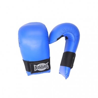 Karate gloves Royal 2