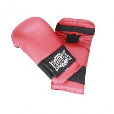 Karate gloves Royal 1