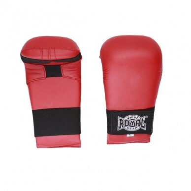 Karate gloves Royal 2