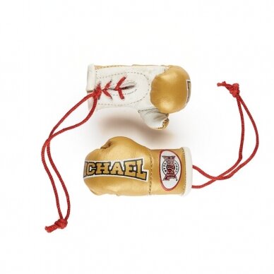 Mini boxing gloves Royal - Michael