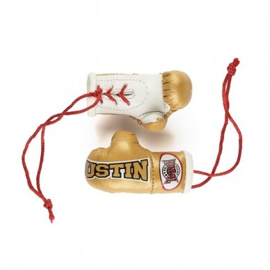 Mini boxing gloves Royal - Justin