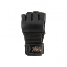 MMA gloves Royal Training Pro