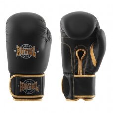 Gloves Royal Fight Pro - Leather