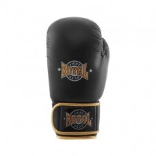 Gloves Royal Fight Pro - Leather