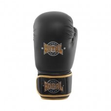 Gloves Royal Fight Pro - Sint, Skin