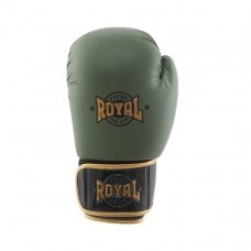 Gloves Royal Top Pro - Skin