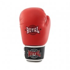 Gloves Royal Top Pro - Skin