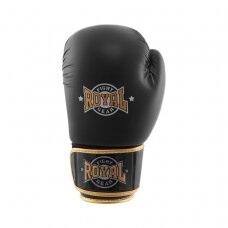 Gloves Royal Top Pro, leather