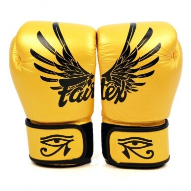 Gloves Fairtex Falcon