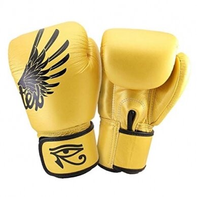 Gloves Fairtex Falcon 2