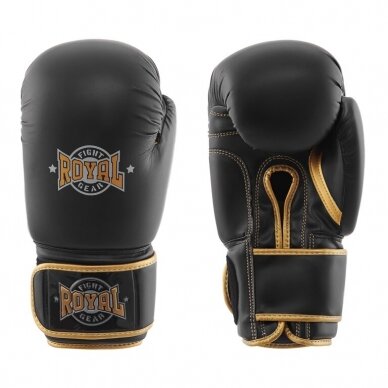 Gloves Royal Fight Pro - Sint, Skin