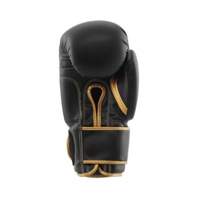 Gloves Royal Fight Pro - Sint, Skin 2