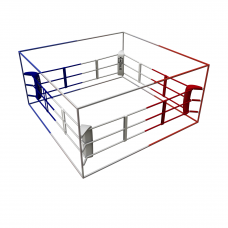 Ring - Economy Boxing Ring Stedyx