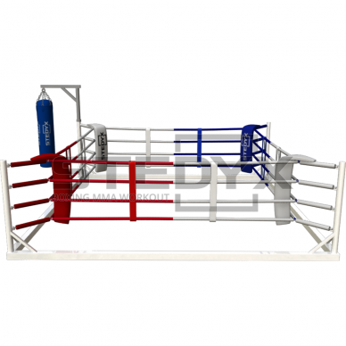 Ring - Floor Boxing Ring for Training Stedyx 1